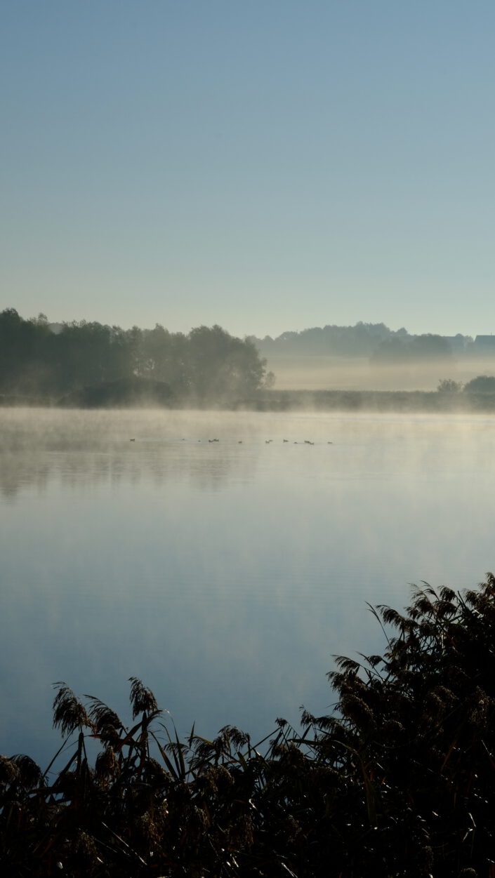 Morgennebel