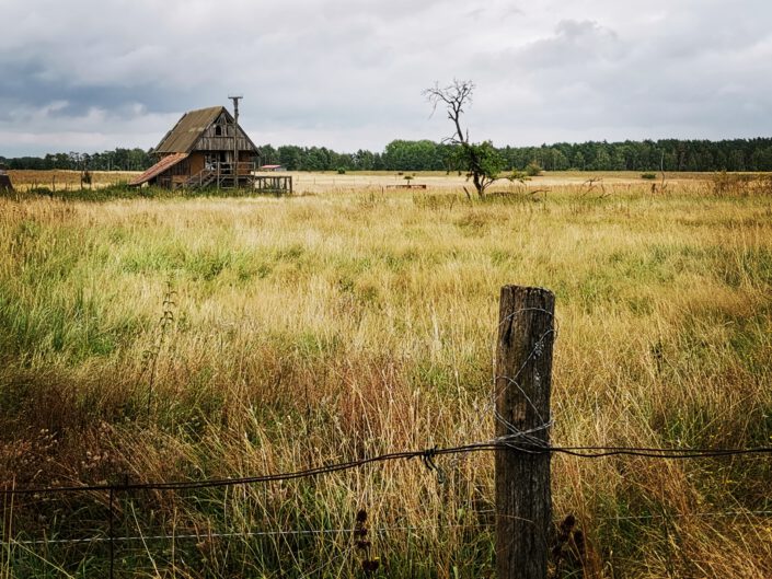 Landschaft